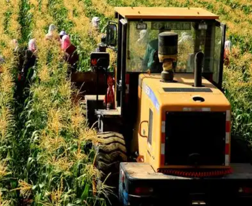 我国农作物种业市场规模去年首次突破1500亿元 我国农作物种业市场规模去年首次突破1500亿元